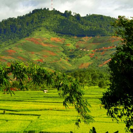 Potensi Sumber Daya Alam Desa Nagreg Kendan Tahun 2018